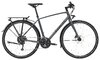 Trek FX 2 DISC EQ M Satin Lithium Grey