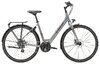 Trek Verve 1 EQ Lowstep M Galactic Grey