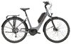 Trek Verve+ 1 Lowstep DT S Galactic Grey